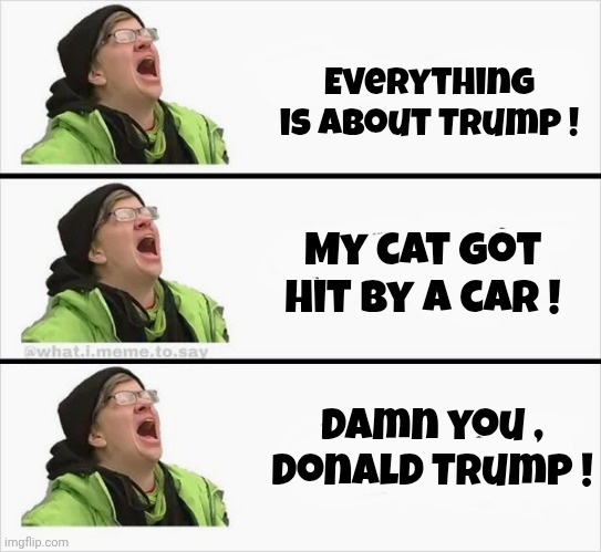 It's getting worse | Everything is about Trump ! My cat got hit by a car ! Damn you , Donald Trump ! | image tagged in whining liberal,pandemic,trump derangement syndrome,jealousy,immaturity | made w/ Imgflip meme maker