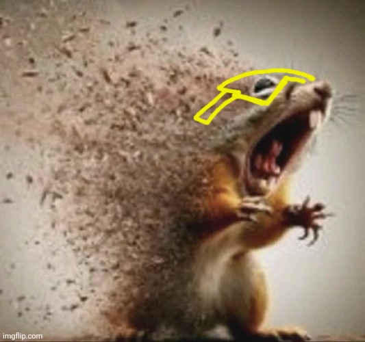 badass squirrel disintegrating | image tagged in badass squirrel disintegrating | made w/ Imgflip meme maker