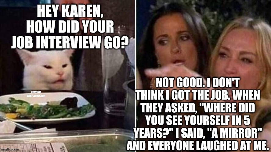 Reverse Smudge that darn cat | HEY KAREN, HOW DID YOUR JOB INTERVIEW GO? NOT GOOD. I DON'T THINK I GOT THE JOB. WHEN THEY ASKED, "WHERE DID YOU SEE YOURSELF IN 5 YEARS?" I SAID, "A MIRROR" AND EVERYONE LAUGHED AT ME. | image tagged in reverse smudge that darn cat | made w/ Imgflip meme maker