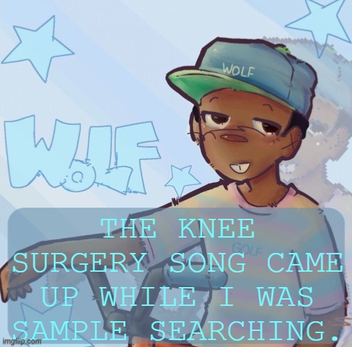 Foxed Wolf Temp 3 | THE KNEE SURGERY SONG CAME UP WHILE I WAS SAMPLE SEARCHING. | image tagged in foxed wolf temp 3 | made w/ Imgflip meme maker