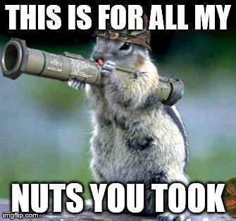 Bazooka Squirrel Meme | THIS IS FOR ALL MY NUTS YOU TOOK | image tagged in memes,bazooka squirrel | made w/ Imgflip meme maker