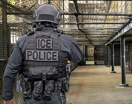 ice Blank Meme Template