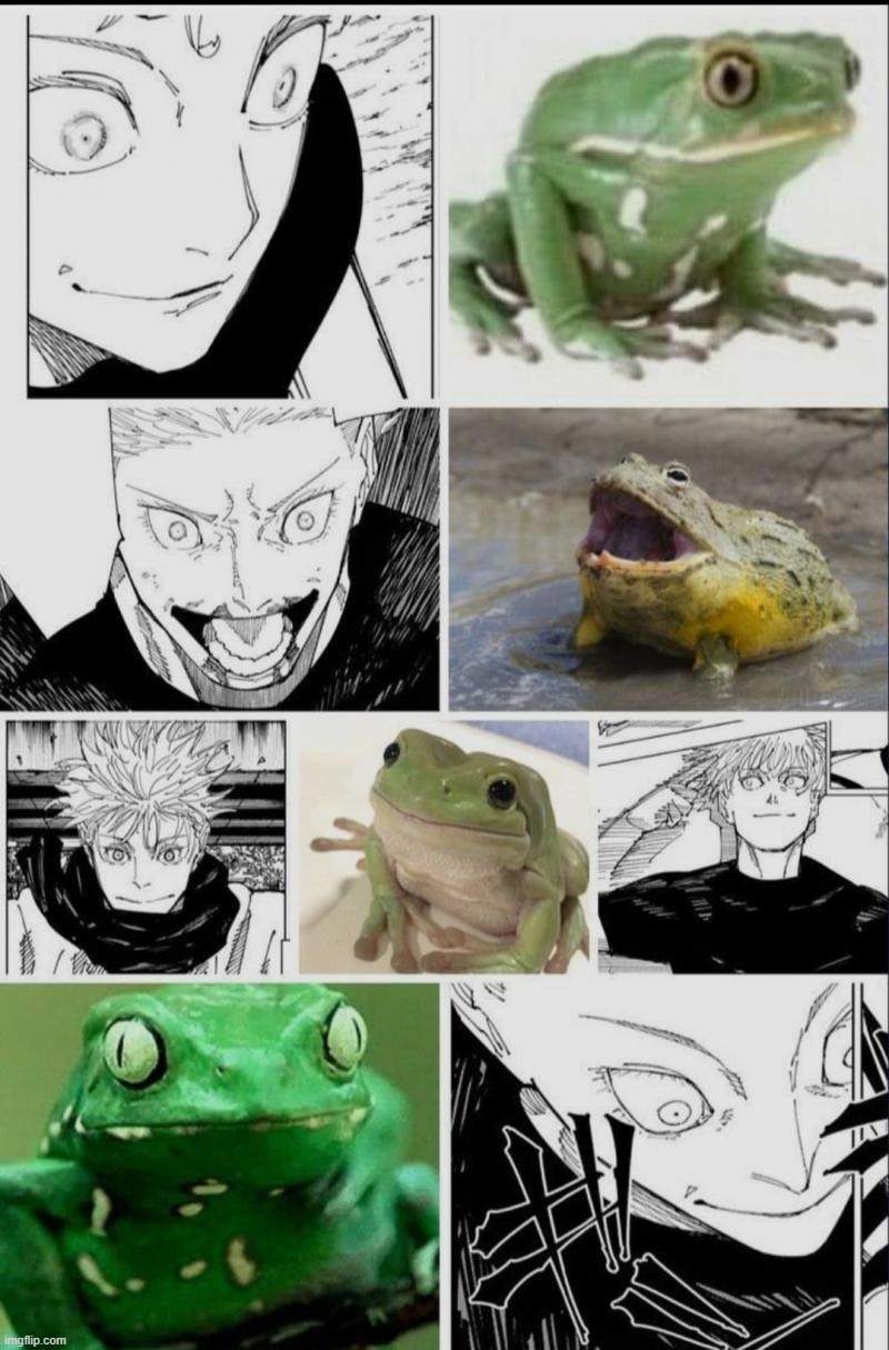 Frog Gojo Blank Meme Template