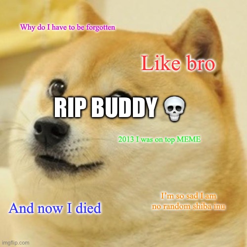 Doge | Why do I have to be forgotten; Like bro; RIP BUDDY 💀; 2013 I was on top MEME; I’m so sad I am no random shiba inu; And now I died | image tagged in memes,doge | made w/ Imgflip meme maker