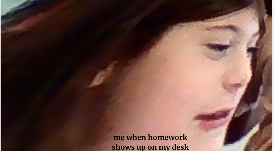homework Blank Meme Template