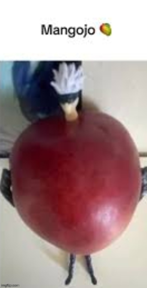 Mangojo | image tagged in mangojo | made w/ Imgflip meme maker