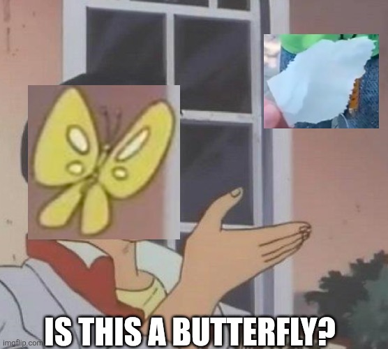 is this butterfly | IS THIS A BUTTERFLY? | image tagged in is this butterfly | made w/ Imgflip meme maker