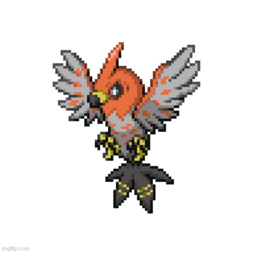 Talonflame/Fletchling | made w/ Imgflip meme maker
