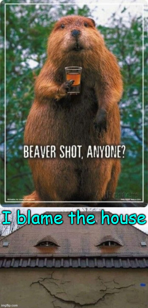 Blame it on the house | I blame the house | image tagged in memes,blame it on the house | made w/ Imgflip meme maker