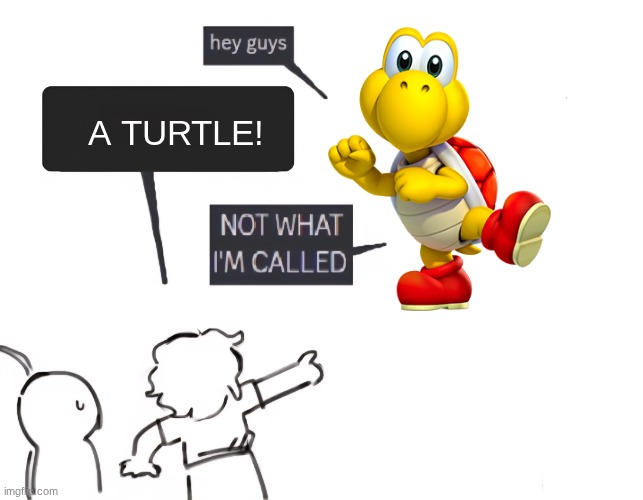 don't lie, we used to call them turtles back then | A TURTLE! | image tagged in not what im called | made w/ Imgflip meme maker