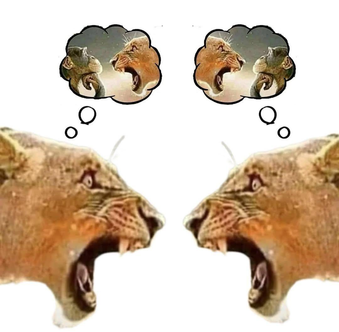 double screaming lion Blank Meme Template