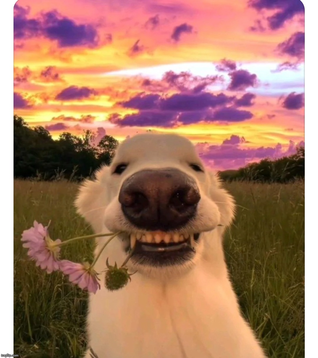 <3 ❤️ | made w/ Imgflip meme maker