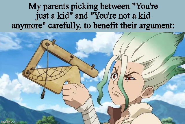 My parents picking between "You're just a kid" and "You're not a kid anymore" carefully, to benefit their argument: | made w/ Imgflip meme maker
