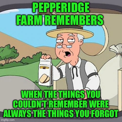 Pepperidge Farm Remembers | PEPPERIDGE FARM REMEMBERS; WHEN THE THINGS YOU COULDN’T REMEMBER WERE ALWAYS THE THINGS YOU FORGOT | image tagged in memes,pepperidge farm remembers | made w/ Imgflip meme maker