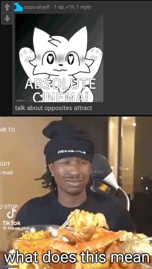 what does this mean | made w/ Imgflip meme maker
