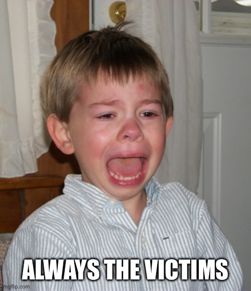 Poor Me | ALWAYS THE VICTIMS | image tagged in poor me | made w/ Imgflip meme maker