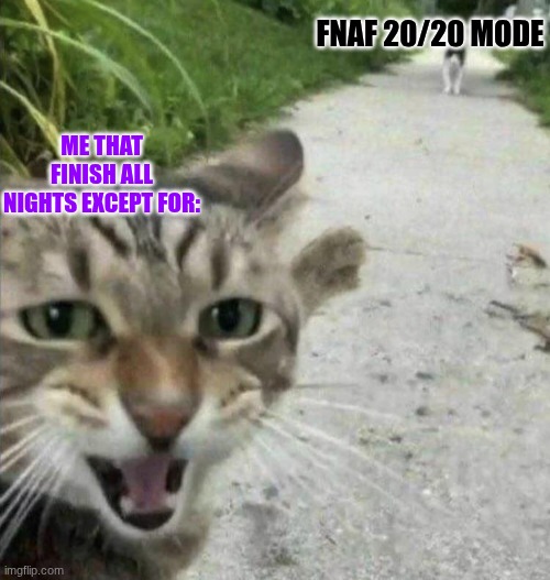 FNAF meme | FNAF 20/20 MODE; ME THAT FINISH ALL NIGHTS EXCEPT FOR: | image tagged in fnaf,funny,funny memes | made w/ Imgflip meme maker
