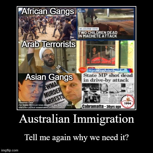 Anti-Immigration Australia | African Gangs; Arab Terrorists; Asian Gangs | image tagged in australia,meanwhile in australia,immigration,gangs,terrorists | made w/ Imgflip meme maker