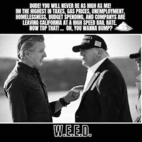 IM THE HIGHEST | image tagged in trump,gavin newsom,california | made w/ Imgflip meme maker