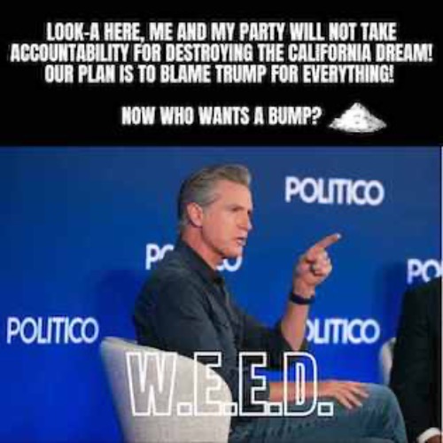 I WILL BLAME TRUMP | image tagged in gavin,trump,california | made w/ Imgflip meme maker