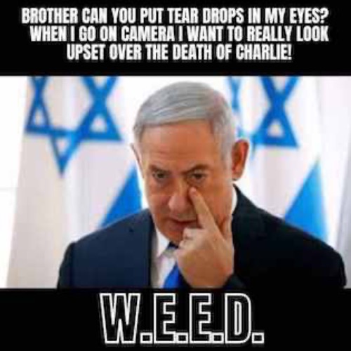 MORE TEARS | image tagged in israel jews,gaza,charlie kirk | made w/ Imgflip meme maker