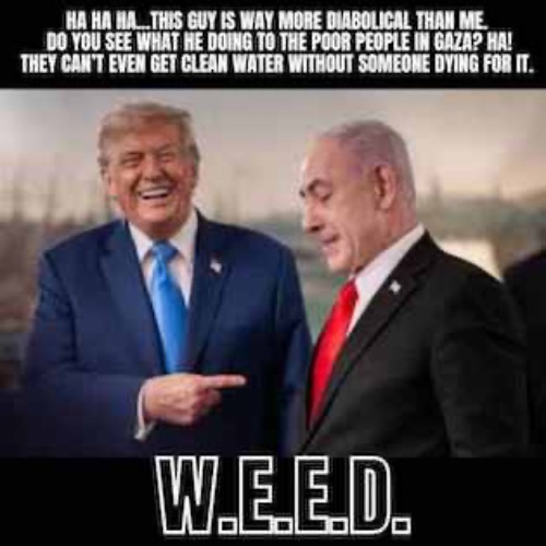 THIS GUY | image tagged in israel,donald trump | made w/ Imgflip meme maker