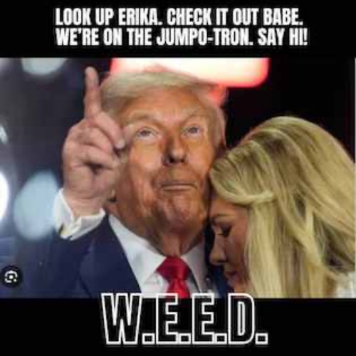 WE'RE ON THE JUMPO TRON | image tagged in trump,erika kirk,boardroom meeting suggestion | made w/ Imgflip meme maker