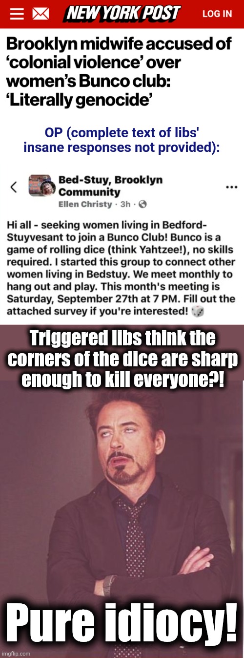 "Literally" lib insanity: a woman attacked online for offering to "hang out and play" | OP (complete text of libs' insane responses not provided):; Triggered libs think the
corners of the dice are sharp
enough to kill everyone?! Pure idiocy! | image tagged in memes,face you make robert downey jr,liberals,democrats,bunco,literally genocide | made w/ Imgflip meme maker