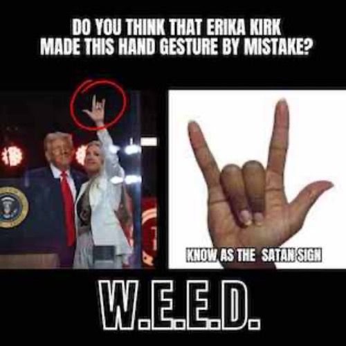 DO YOU THINK ERIKA MADE A MISTAKE? | image tagged in erika kirk,mistakes | made w/ Imgflip meme maker
