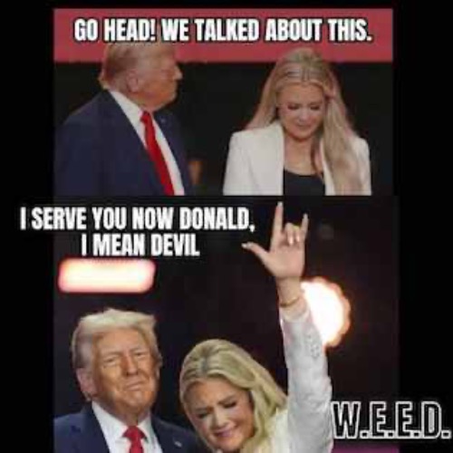 GO AHEAD | image tagged in erika kirk,trump | made w/ Imgflip meme maker