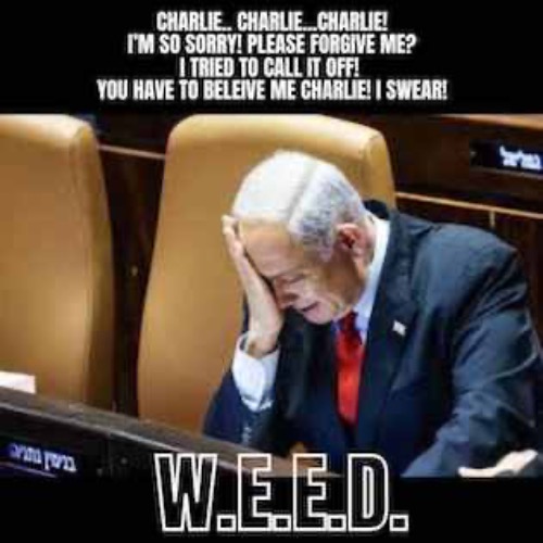I TRIED TO CALL IT OFF | image tagged in kirk,israel | made w/ Imgflip meme maker