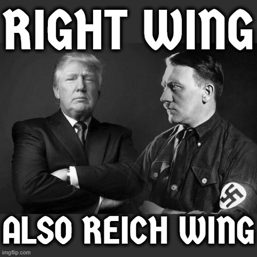 RIGHT WING; ALSO REICH WING | made w/ Imgflip meme maker