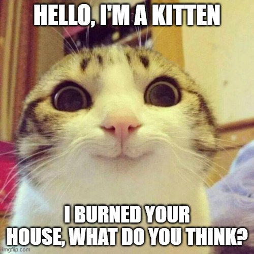 Smiling Cat | HELLO, I'M A KITTEN; I BURNED YOUR HOUSE, WHAT DO YOU THINK? | image tagged in memes,smiling cat | made w/ Imgflip meme maker