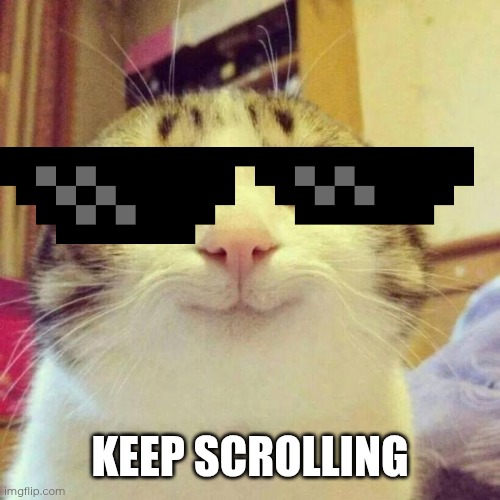 Smiling Cat Meme | KEEP SCROLLING | image tagged in memes,smiling cat | made w/ Imgflip meme maker