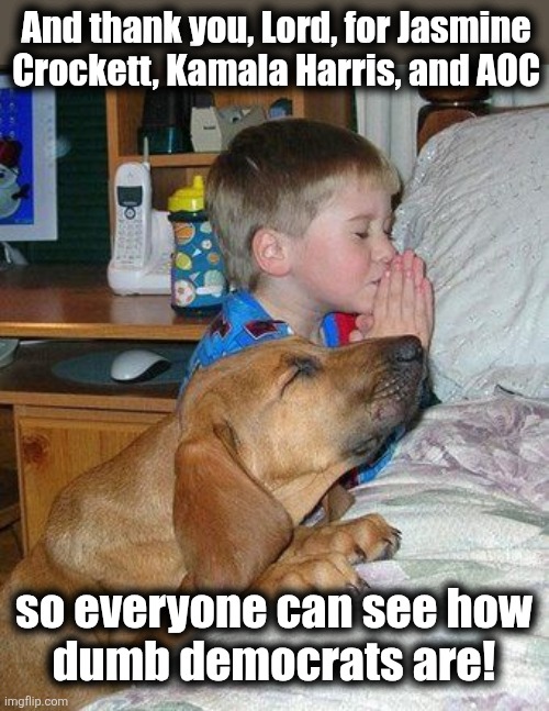 I'm so thankful! | And thank you, Lord, for Jasmine
Crockett, Kamala Harris, and AOC; so everyone can see how
dumb democrats are! | image tagged in boy and dog praying,memes,jasmine crockett,democrats,idiots,kamala harris | made w/ Imgflip meme maker