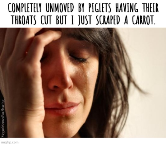 The 'Plants Feel Pain' idiots are like: | image tagged in vegan,veganism,plantsfeelpain,bacon,burger,chicken | made w/ Imgflip meme maker