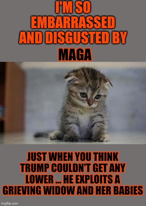 Trump Has No "Bottom".  There Is NOTHING He Won't Exploit For Something As Pathetic As Applause | I'M SO EMBARRASSED AND DISGUSTED BY; MAGA; JUST WHEN YOU THINK TRUMP COULDN'T GET ANY LOWER ... HE EXPLOITS A GRIEVING WIDOW AND HER BABIES | image tagged in sad kitten,maga,nazis,deplorable donald,basket of deplorables,memes | made w/ Imgflip meme maker