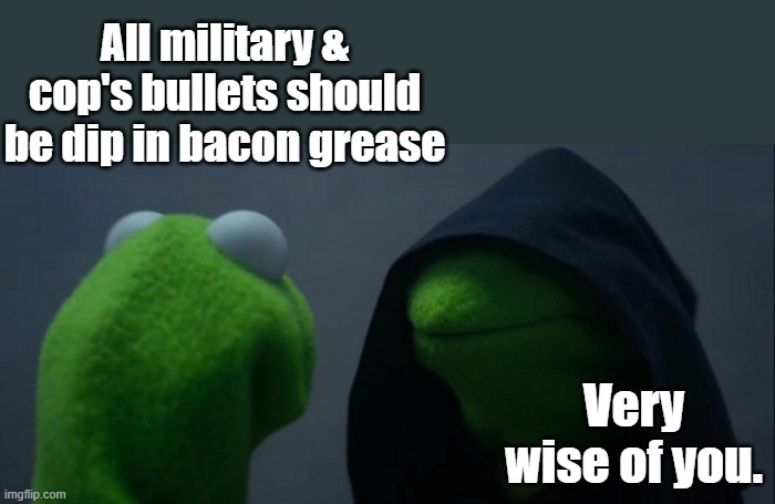 NO 72 Virgin's,it's the Achiles heel of Muslim's. They fear the pork. | All military & cop's bullets should be dip in bacon grease; Very wise of you. | image tagged in memes,evil kermit | made w/ Imgflip meme maker