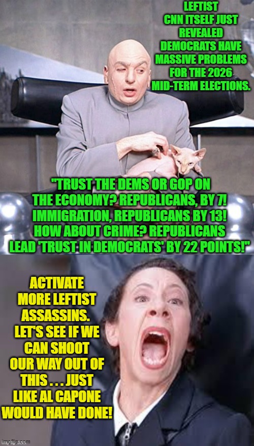 Lie, cheat, steal . . . and now kill.  Leftists ALWAYS have a plan. | LEFTIST CNN ITSELF JUST REVEALED DEMOCRATS HAVE MASSIVE PROBLEMS FOR THE 2026 MID-TERM ELECTIONS. "TRUST THE DEMS OR GOP ON THE ECONOMY? REPUBLICANS, BY 7! IMMIGRATION, REPUBLICANS BY 13! HOW ABOUT CRIME? REPUBLICANS LEAD 'TRUST IN DEMOCRATS' BY 22 POINTS!"; ACTIVATE MORE LEFTIST ASSASSINS.  LET'S SEE IF WE CAN SHOOT OUR WAY OUT OF THIS . . . JUST LIKE AL CAPONE WOULD HAVE DONE! | image tagged in dr evil mr bigglesworth | made w/ Imgflip meme maker