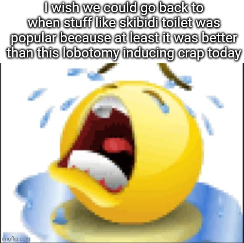 I'm sick of 67 labubu tung tung sahur funk | I wish we could go back to when stuff like skibidi toilet was popular because at least it was better than this lobotomy inducing crap today | image tagged in low quality crying emoji,brainrot | made w/ Imgflip meme maker