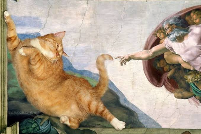 Blank Template Blank Meme Template