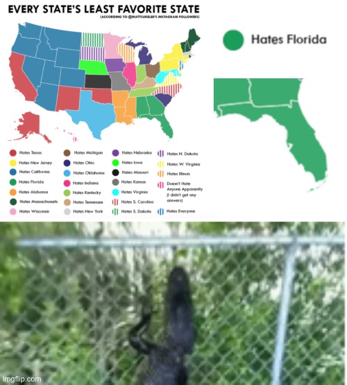image tagged in alligator,florida,maps,funny | made w/ Imgflip meme maker