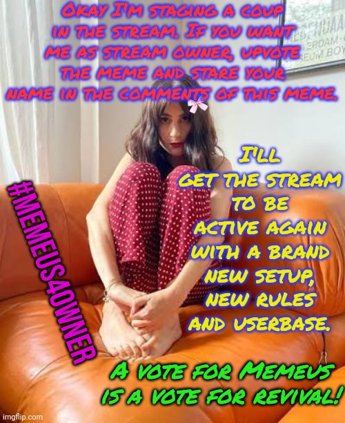 Whoz with me? | Okay I'm staging a coup in the stream. If you want me as stream owner, upvote the meme and stare your name in the comments of this meme. I'll get the stream to be active again with a brand new setup, new rules and userbase. #Memeus4Owner; A vote for Memeus is a vote for revival! | image tagged in memez,coup,make ip great again | made w/ Imgflip meme maker