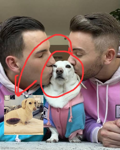 No offense, I just find it funny that the dog own by a gay couple | made w/ Imgflip meme maker