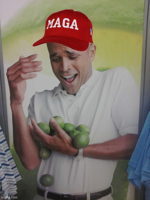 trans people made me drop my limes | image tagged in memes,why can't i hold all these limes | made w/ Imgflip meme maker