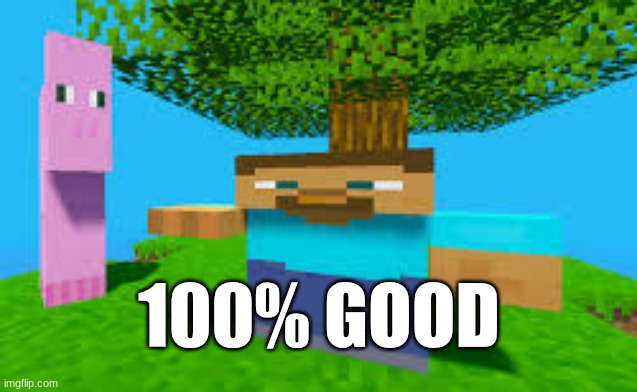 minecraft is code | 100% GOOD | image tagged in wow | made w/ Imgflip meme maker