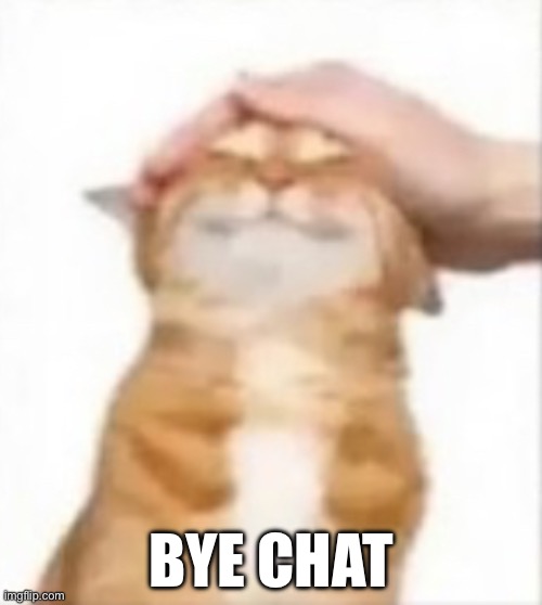 Cat being petted | BYE CHAT | image tagged in cat being petted | made w/ Imgflip meme maker