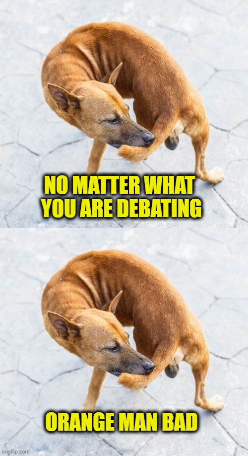 Debating Leftists | NO MATTER WHAT 
YOU ARE DEBATING; ORANGE MAN BAD | image tagged in leftists | made w/ Imgflip meme maker