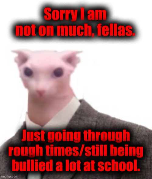 it hurts. | Sorry I am not on much, fellas. Just going through rough times/still being bullied a lot at school. | image tagged in bingus | made w/ Imgflip meme maker