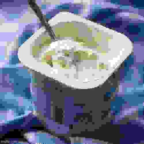 yogurt. | image tagged in yogurt | made w/ Imgflip meme maker